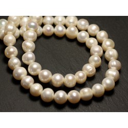 6pz - Palline di perle coltivate d'acqua dolce 9-11mm Bianco iridescente - 8741140020986 