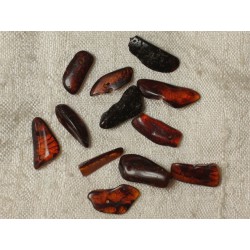 Perles d'Ambre - Rocailles 13-18 mm - Sac de 12pc 4558550035448