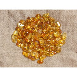 15pc - Perles d'ambre naturelle Miel - Rocailles 5-8mm - 4558550037350 