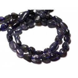 Filo 33 cm 37 pz circa - Perline di pietra - Olive in cordierite iolite  7-14 mm - 8741140012592 - www.123perles.com