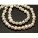 Fil 33cm 43pc environ - Perles Culture Eau Douce coquillage naturelles Boules Ovales 6-9mm Blanc irisé
