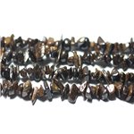 140pc env - Perles de Pierre - Bronzite Rocailles Chips 5-11mm - 8741140022447 