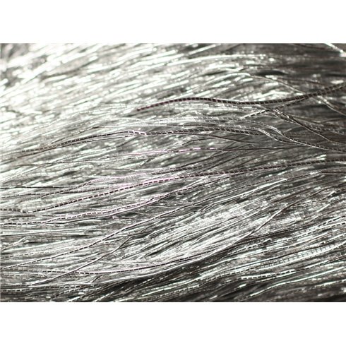 Echeveau 40 mètres env - Fil Cordon Tissu Nylon 0.3mm Gris Argenté - 8741140018822