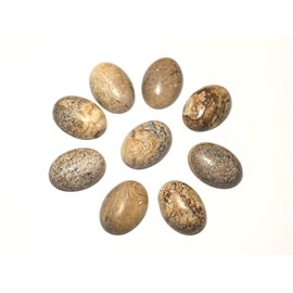 1pc - Cabochon Semi precious stone - Jasper landscape beige oval 18x13mm - 8741140005495 
