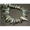 10pc - Perles de Pierre - Apatite Rocailles Chips Batonnets 12-30mm - 8741140016651