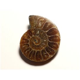 N4 - Pendente in pietra fossile - Ammonite Ammonoidea 34mm - 8741140016446 