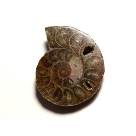N13 - Pendente in pietra fossile - Ammonite Ammonoidea 37mm - 8741140016538 