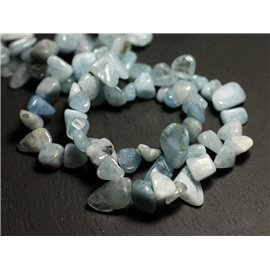 10pc - Stone Beads - Aquamarine Seed Chips 7-14mm - 8741140016217 
