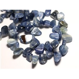 10pc - Perline di pietra - Chip di semi di cianite 6-16mm - 8741140016262 