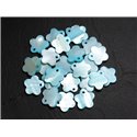 10pc - Perles Breloques Pendentifs Nacre Fleurs 15mm Bleu Turquoise Pastel -  4558550039996 