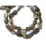 10pc - Perles de Pierre - Labradorite Olives 8-15mm - 8741140011663 