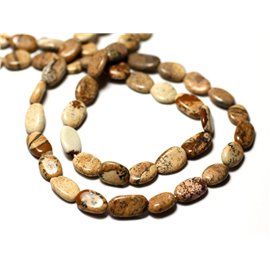 10pc - Stone Beads - Landscape Jasper Beige Olives Oval 6-11mm - 8741140011779 