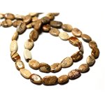10pc - Perles de Pierre - Jaspe Paysage Beige Olives Ovales 6-11mm - 8741140011779 