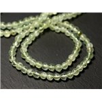 20pc - Perles de Pierre - Phrénite Boules 4mm - 8741140011533 