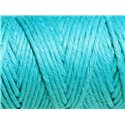 Bobine 20 mètres - Cordon Ficelle Chanvre 1.5mm Bleu Vert Turquoise - 8741140011045 