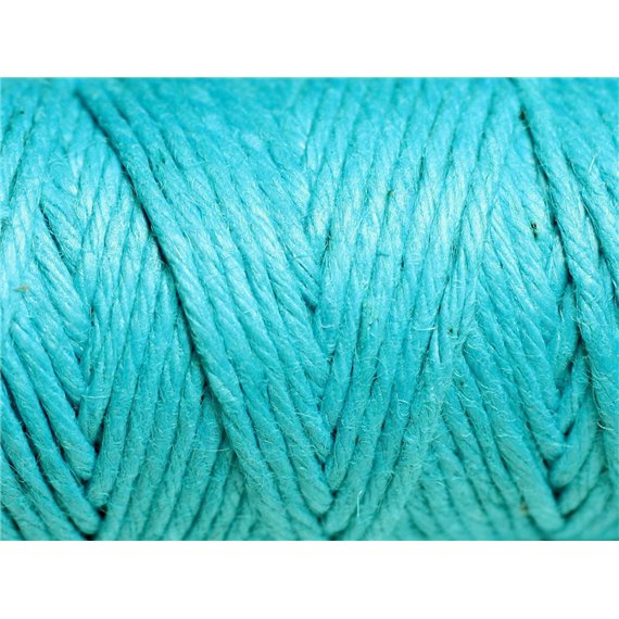 Bobine 20 mètres - Cordon Ficelle Chanvre 1.5mm Bleu Vert Turquoise - 8741140011045 