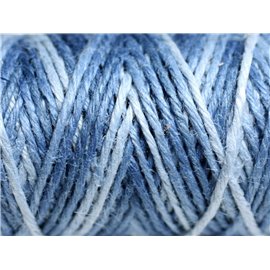 Spool 20 meters - Hemp Twine Cord 1.5mm Multicolored Shades Blue - 8741140011199 