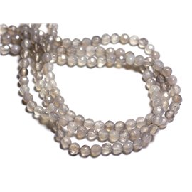 20pc - Perline di pietra - Sfere sfaccettate in agata grigia 4mm - 8741140000223 