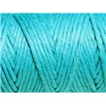 3 mètres - Cordon Ficelle Chanvre 1.5mm Bleu vert turquoise - 4558550083715 