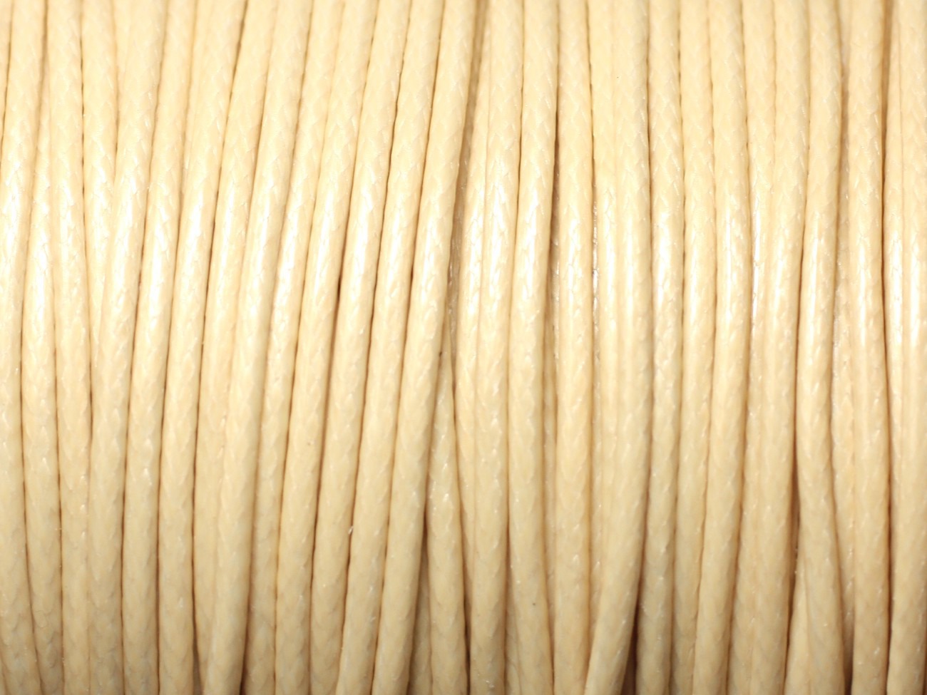 5 mètres - Cordon coton ciré enduit qualité 2mm Jaune Pastel Crème Ivoire - 8741140010314 