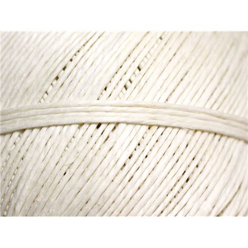 5 mètres - Cordon Ficelle Lin 1mm Blanc crème -  4558550084309 