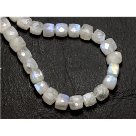 1pc - Stone Bead - White Moonstone Rainbow Faceted Cube 6-7mm - 8741140008847 