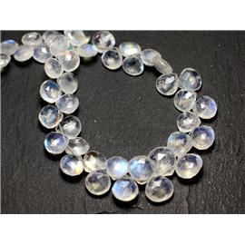 1pc - Perla de piedra - Rainbow Moonstone Faceted Drop 7-9mm - 8741140008786 