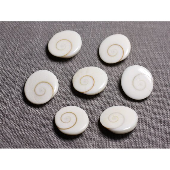 1pc - Cabochon Coquillage Oeil Sainte Lucie Shiva Ovale 19-20mm - 4558550095411 