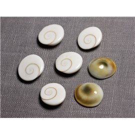 1pc - Cabochon Coquillage Oeil Sainte Lucie Shiva Ovale 19-20mm - 4558550095411  1pc - Cabochon Coquillage Oeil Sainte Lucie Shiva Ovale 19-20mm - 4558550095411