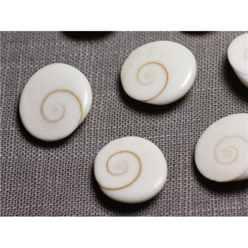1pc - Cabochon Coquillage Oeil Sainte Lucie Shiva Ovale 19-20mm - 4558550095411 