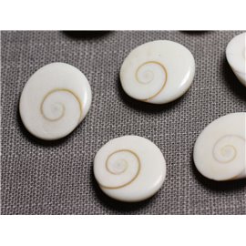 1pc - Cabochon Coquillage Oeil Sainte Lucie Shiva Ovale 19-20mm - 4558550095411  1pc - Cabochon Coquillage Oeil Sainte Lucie Shiva Ovale 19-20mm - 4558550095411