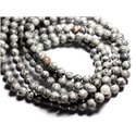 5pc - Perles Pierre - Jaspe Paysage Boules 10mm Gris Noir - 4558550010957