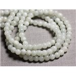 20pc - Perles de Pierre - Jade Boules 6mm Blanc Gris clair - 4558550093110 