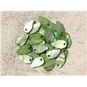 10pc - Breloques Pendentifs Nacre Feuilles Ailes 16mm Vert   4558550016973 