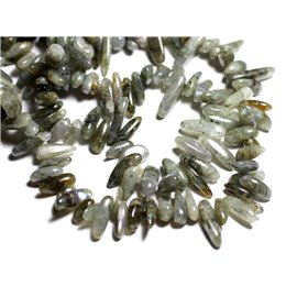 10pc - Stone Beads - Labradorite Chips Rocailles Sticks 10-19mm - 4558550093004 