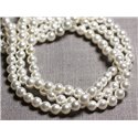 20pc - Perles Nacre teinte Boules 6mm Blanc C13 - 4558550092878 