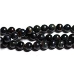 10pc - Perles de Pierre - Oeil de Faucon Boules 6mm - 4558550089496 