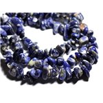 40pc - Perles de Pierre - Sodalite Grosses rocailles chips 6-19mm - 4558550089236 