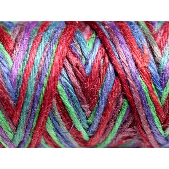 3 mètres - Cordon Ficelle Chanvre 1.5mm Multicolore - Bordeaux Bleu Vert Violet - 4558550083777 