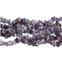 50pc - Perles de Pierre - Iolite Cordiérite Rocailles Chips 5-10mm -  4558550023063 