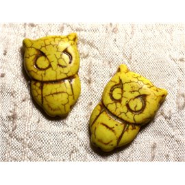 4pc - Synthetic Turquoise Owl Owl Beads 30x20mm Yellow 4558550001344 
