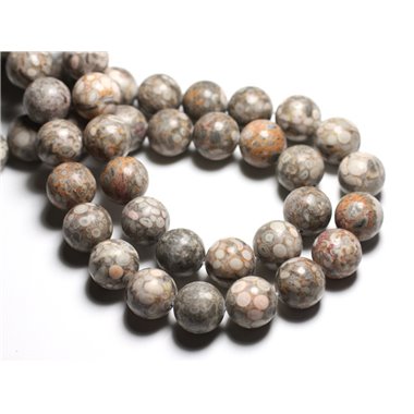 4pc - Perles de Pierre - Jaspe Océan Fossile Boules 14mm -  4558550081674 