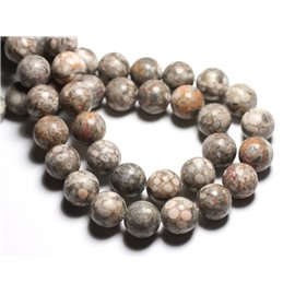 4pc - Stone Beads - Fossil Ocean Jasper Balls 14mm - 4558550081674 