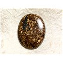 Cabochon de Pierre - Bronzite Ovale 31mm N34 -  4558550087225 