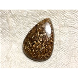 Cabochon in pietra - Bronzite Drop 25mm N6 - 4558550086945 