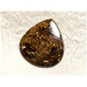 Cabochon de Pierre - Bronzite Goutte 25mm N9 -  4558550086976 