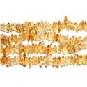 10pc - Perles de Pierre - Citrine Chips Palets 10-14mm -  4558550084446 