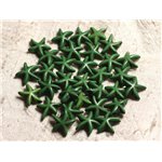 20pc - Perles Turquoise synthèse Etoiles de Mer 14x6mm Vert   4558550000675 