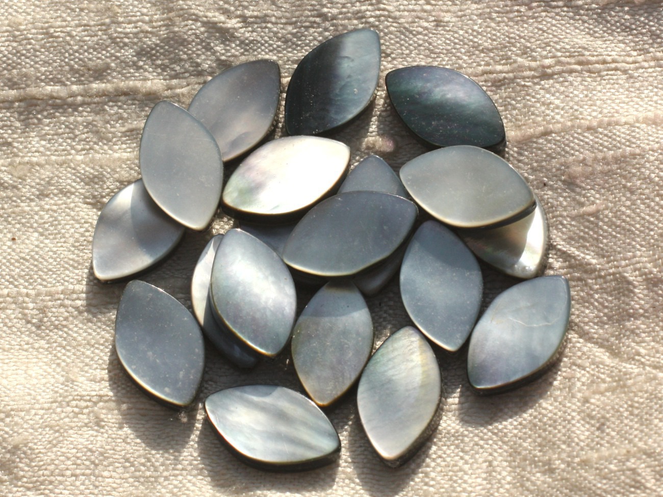 2pc - Perles Nacre noire naturelle - Marquises 17x10mm   4558550015853 