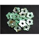 10pc - Perles Breloques Pendentifs Nacre Fleurs 19mm Vert  4558550014566 